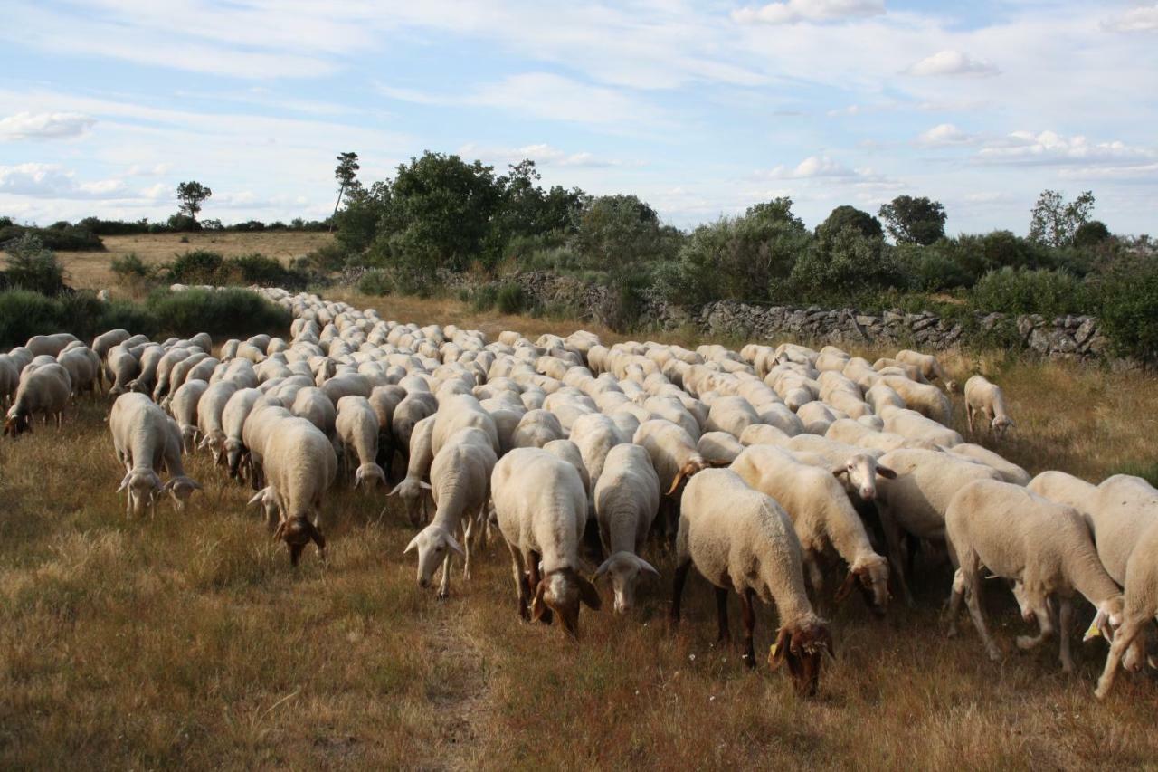 Casa Rural Mimbrero Aldeadávila de la Ribera Exteriör bild